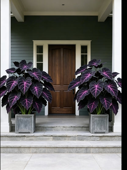 Bring Luxury Nature Into Your Everyday Life