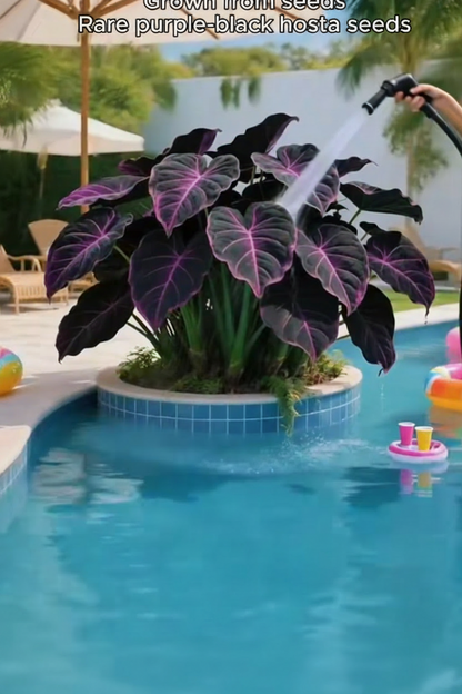 Bring Luxury Nature Into Your Everyday Life