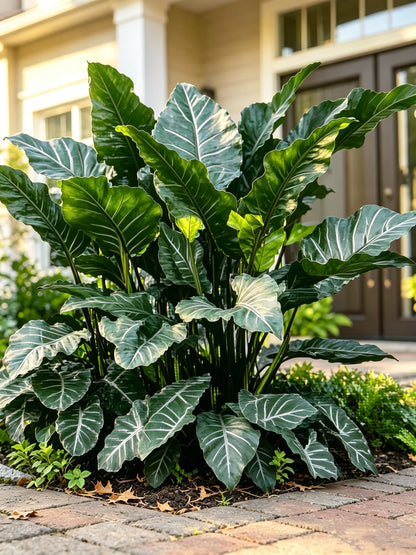 Bring Luxury Nature Into Your Everyday Life