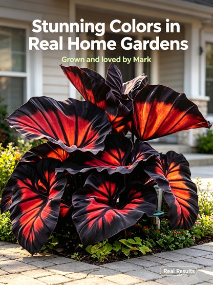 Bring Luxury Nature Into Your Everyday Life