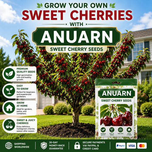 Anuarn Dwarf Cherry Tree Seeds – Grow Sweet, Juicy Cherries at Home 🍒