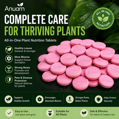 TURN EVERY POT INTO A BLOOMING POWERHOUSE