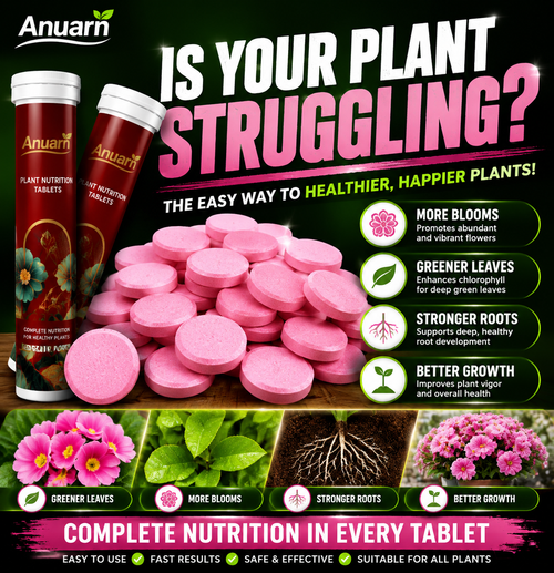 TURN EVERY POT INTO A BLOOMING POWERHOUSE