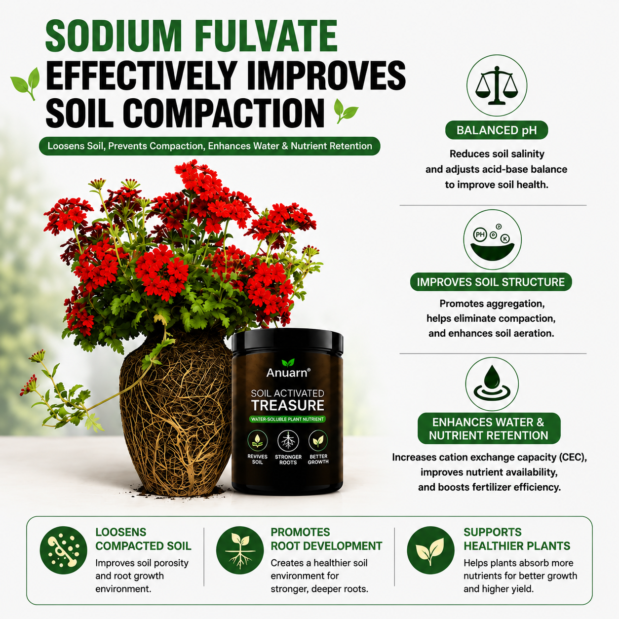 🌱 Anuarn Soil Revival Formula