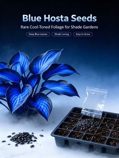 Bring Luxury Nature Into Your Everyday Life