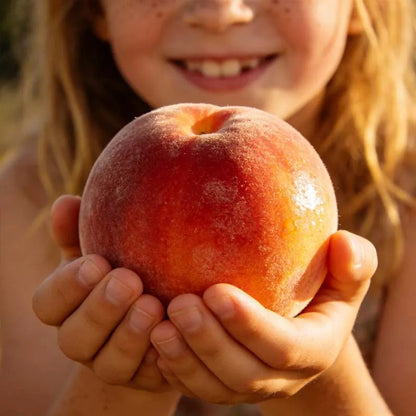 🔥 65K+ SOLD! 🍑 Anuarn "Honey Red" Dwarf Peach Tree Live Seeds